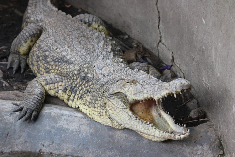 Living Museum (Bujumbura Zoo)