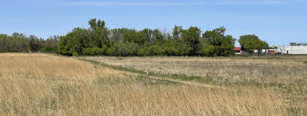 Living Prairie Museum Travel Forum Reviews