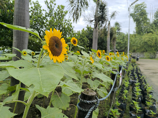 Liwasang Pangkalikasan ng Marilao