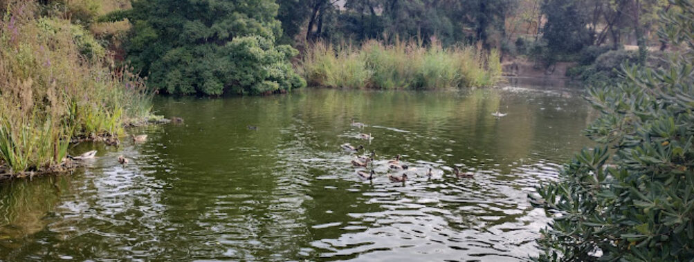 Llac de Torreblanca Travel Forum Reviews