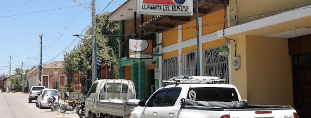 Llamarada del Bosque Travel Forum Reviews