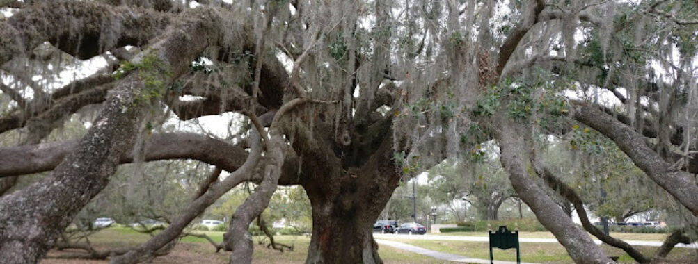Loch Haven Park Travel Forum Reviews