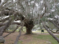 Loch Haven Park Travel Forum Reviews