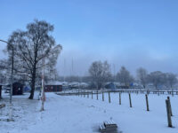 Lögarängsparken Travel Forum Reviews