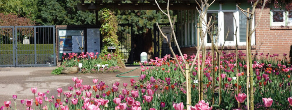 Loki Schmidt Garden Botanical of University Hamburg Travel Forum Reviews