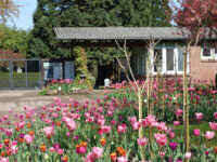 Loki Schmidt Garden Botanical of University Hamburg Travel Forum Reviews
