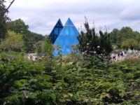 Loki-Schmidt-Haus - Museum für Nutzpflanzen Travel Forum Reviews