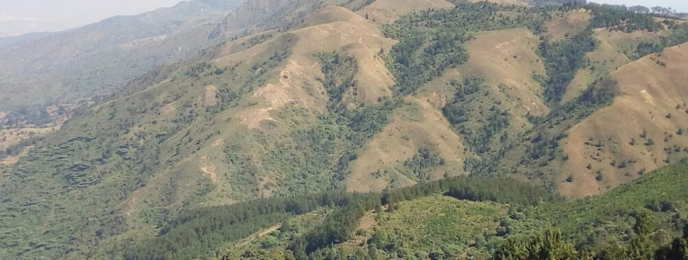Loleza Mountain Travel Forum Reviews