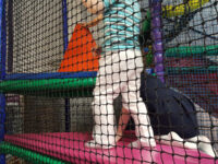 Lollipop Land Travel Forum Reviews