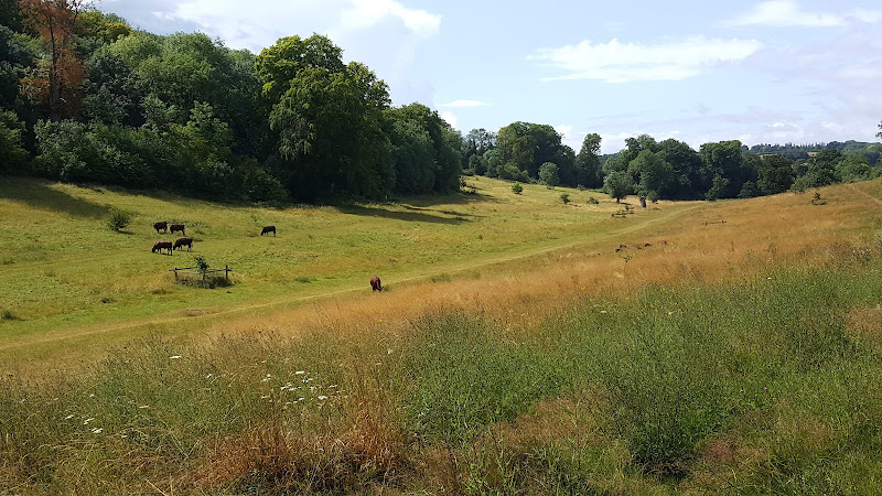 Long Deans