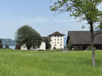 Loop Tours Luzern Travel Forum Reviews
