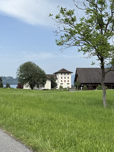 Loop Tours Luzern