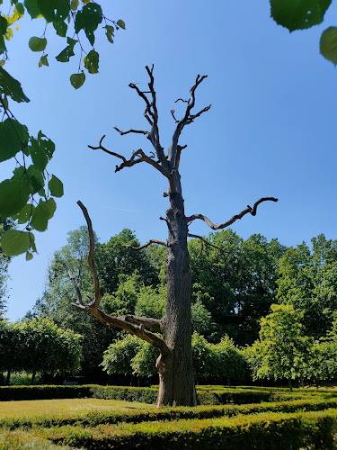 Lord of the Rings Tree