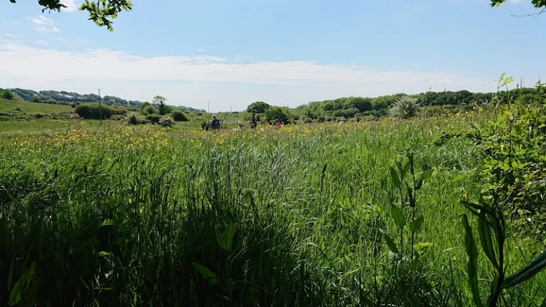Lorton Meadows Nature Reserve