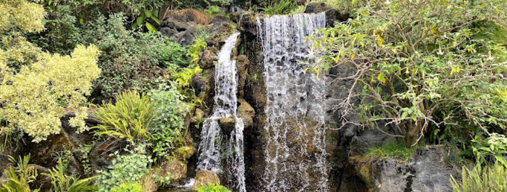 Los Angeles County Arboretum & Botanic Garden Travel Forum Reviews