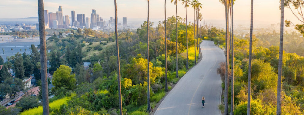 Los Angeles Travel Forum Reviews