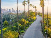 Los Angeles Travel Forum Reviews