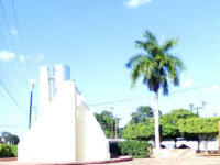 Los Maestros Park Travel Forum Reviews