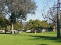 Los Robles Park Travel Forum Reviews