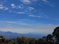 Los tejocotes Travel Forum Reviews