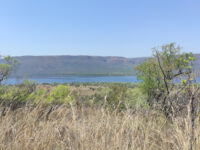 Loskop Nature Reserve Travel Forum Reviews