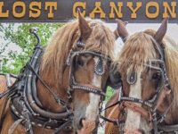 Lost Canyon Tours Travel Forum Reviews