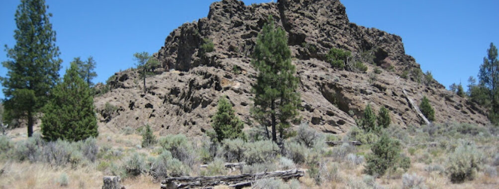 Lost Forest Research Natural Area Travel Forum Reviews