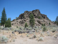 Lost Forest Research Natural Area Travel Forum Reviews