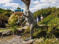 Lost World Adventure Park Travel Forum Reviews