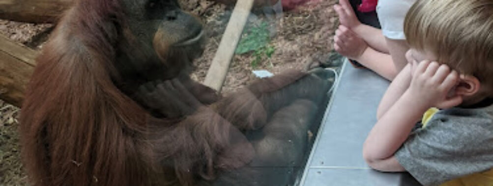 Louisville Zoo Travel Forum Reviews