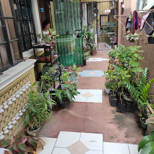 Loverari's Plants