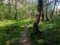 Lower Topchia Travel Forum Reviews