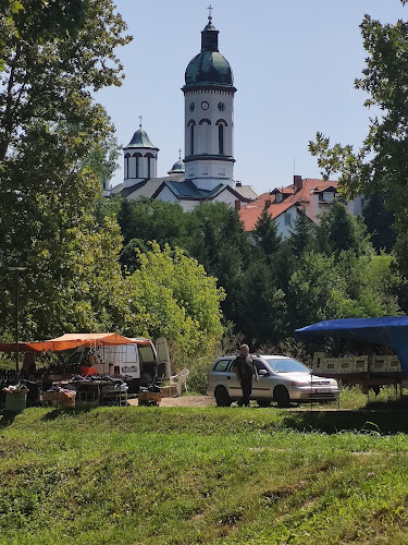Loznica