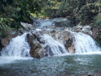 Lubuk Mecu Travel Forum Reviews