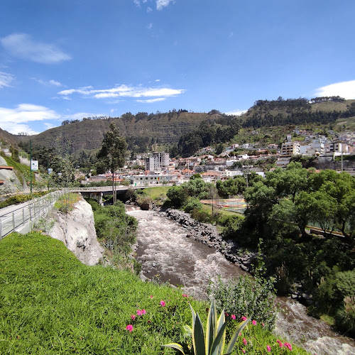 Luis A. Martínez Park