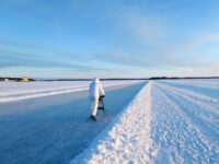 Luleå Isbana Travel Forum Reviews
