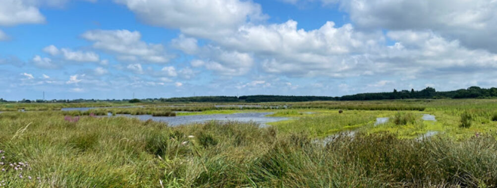 Lunt Meadows Nature Reserve Travel Forum Reviews