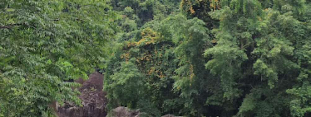 Lusong Cold Spring Travel Forum Reviews