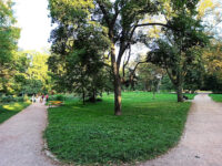 Lužánky Park Travel Forum Reviews