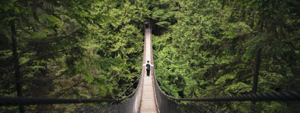 Lynn Canyon Suspension Bridge Travel Forum Reviews