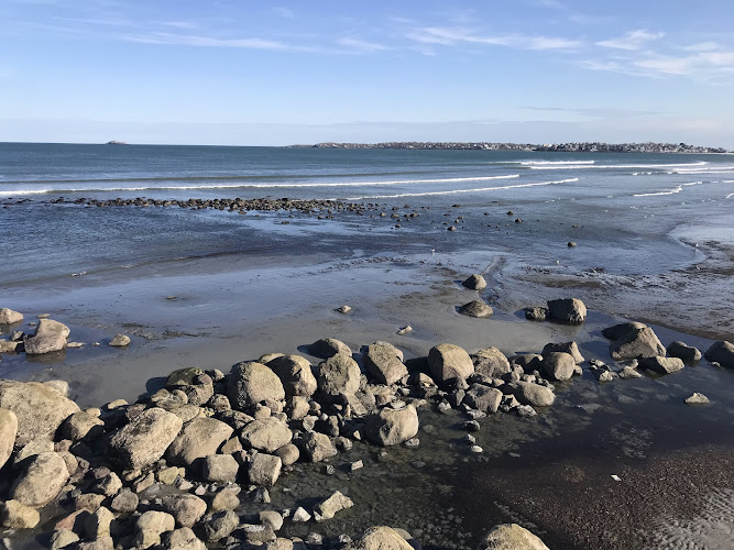Lynn Shore Reservation
