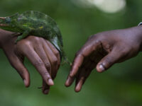 MAZI Art and Culture (MAZI) Travel Forum Reviews