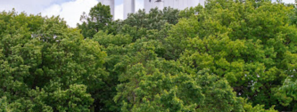 MKE REC Hawthorn Glen Outdoor Education Center Travel Forum Reviews