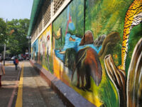 MUSEO ETNOLOGICO DE AMAZONAS Travel Forum Reviews
