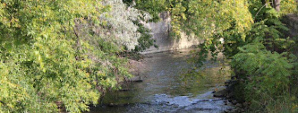 Mabel Davis Conservation Area Travel Forum Reviews