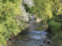 Mabel Davis Conservation Area Travel Forum Reviews