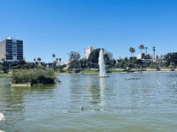 MacArthur Park Lake Travel Forum Reviews