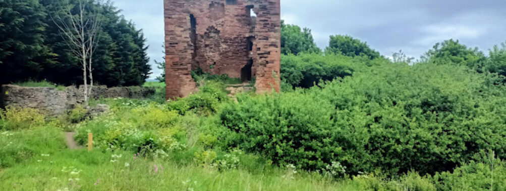 MacDuff Castle Travel Forum Reviews