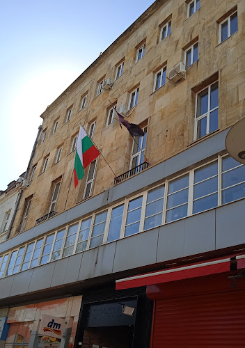 Macedonian Scientific Institute