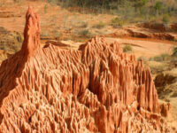 Mada ABC Tours Travel Forum Reviews